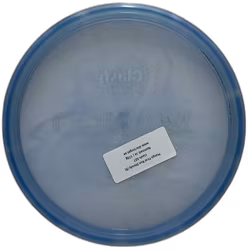 Mango First Run Steady (8)