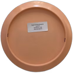 Pepper Prototype Steady (8)