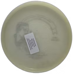 Parachute Eugene A. Cernan Astronaut Eclipse Soft (9)