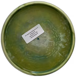 PA-1 Seppo Paju 500 Spectrum (7)