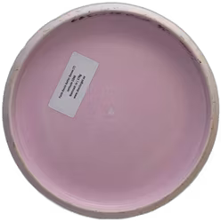 Faith Kevin Keifer Sense (7)