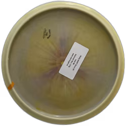 Middy SDGPT Bravo (9)