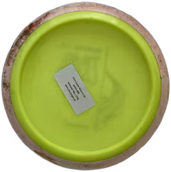 Time-Lapse Neutron (6)