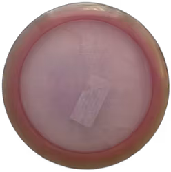 Wild Honey Steady (7)