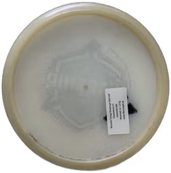 Warship Trilogy Challenge 2021 VIP Chameleon (7)