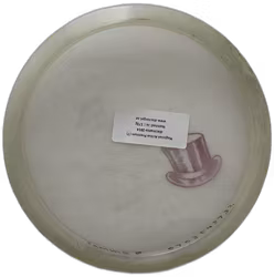 Magician Active Premium (7)