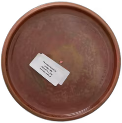 PA-1 Sepo Paju 500 (8)