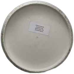 P1 Flex 2 D-Line (5)