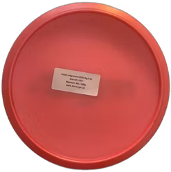 Hawk Ledgestone 2022 Big Z (6)