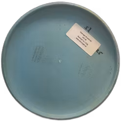 Hydrogen B-solid (6)