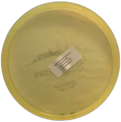 Sparta Tynni 2024 Premium (8)