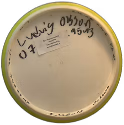 Pyro Prism Neutron (6)