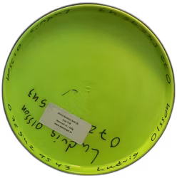 Glitch Neutron Soft (8)