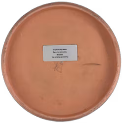 Maiden BT Medium (6)