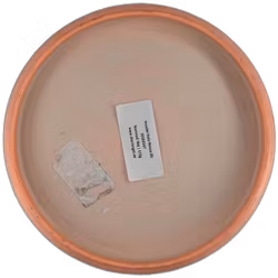 Invader Halo Nexus (6)