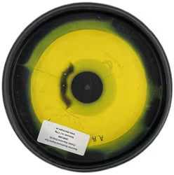 Slammer Sockibomb Raptor Eye Classic Supreme Orbit (6)