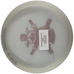 Sensei glow Active Premium (8)