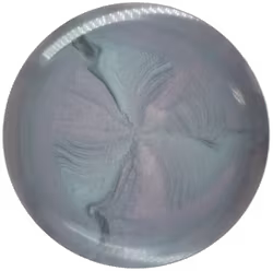 Thrasher Missy Gannon Tour Series ESP Swirl (7)