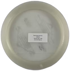 Bowie Alpha Glow (8)