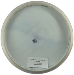 Malta Paul McBeth 6 Claw ESP (6)