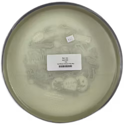 Pixel Tour of Terror Eclipse (9)