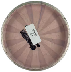 Envy Cosmic Electron (4)