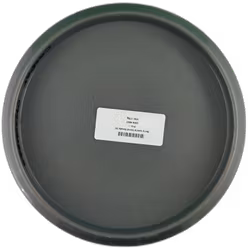 Berry special blend Steady (6)