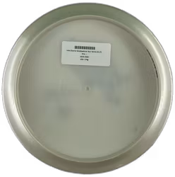 Lots Charlie Goodpasture Tour Series 2022 K1 (7)