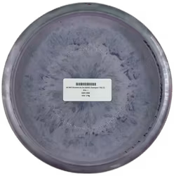 A3 Will Shuesterick 3x USDGC Champion 750 (7)