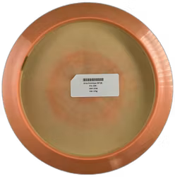 Drive Prototype ESP (8)