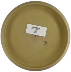 Bluebonnet SDGPT V2 (7)