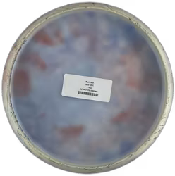 PModelS Dura Flex (5)