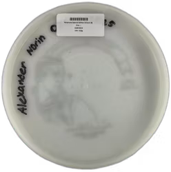 Parachute Special Edition Eclipse (8)