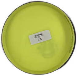 Watt Lab Second Neutron (7)