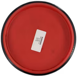 Deflector Neutron (7)