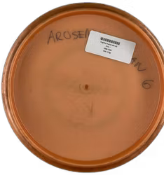 Fugitive Fuzion Bio (6)