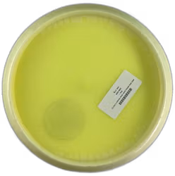 MD1 DNA Edition Color Glow Horizon C-line (7)