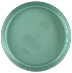 Idog First Run K1 (10)