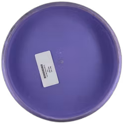 Link EXO Extra Soft (7)