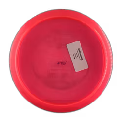 Leopard Champion (6)