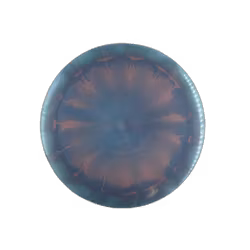 Nuke Ezra Aderhold Tour Series 2023 ESP (7)