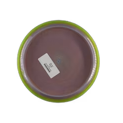 Trance Prism Neutron (7)