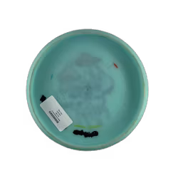 Reko X First Run K1 (7)