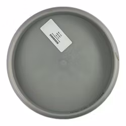 Mint Special Blend (6)