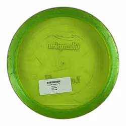 Leopard3 Champion (6)