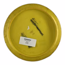 Valkyrie Echostar (6)