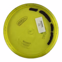 Super Stingray Champion (6)