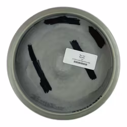 MD5 Innova Made Swirl S-line (7)