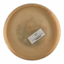 PA-3 Väinö Mäkelä Signature Series 400 Glow (7)