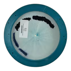 Bolt 10 Year Anniversary Gold Orbit (6)